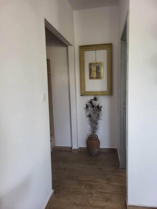Greek Memories Boutique Studio Φαληράκι Εξωτερικό φωτογραφία